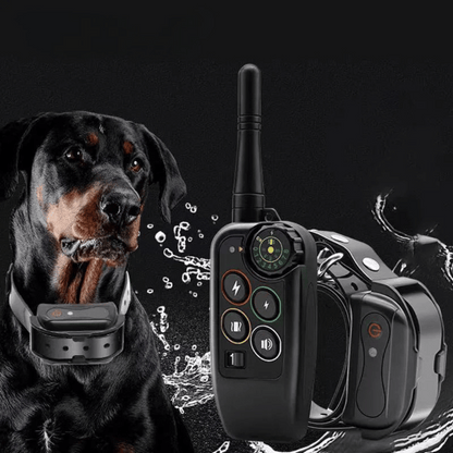 1000m Waterproof Dog Training Collar with Remote, Beep, Vibration and Stimulation Modes
