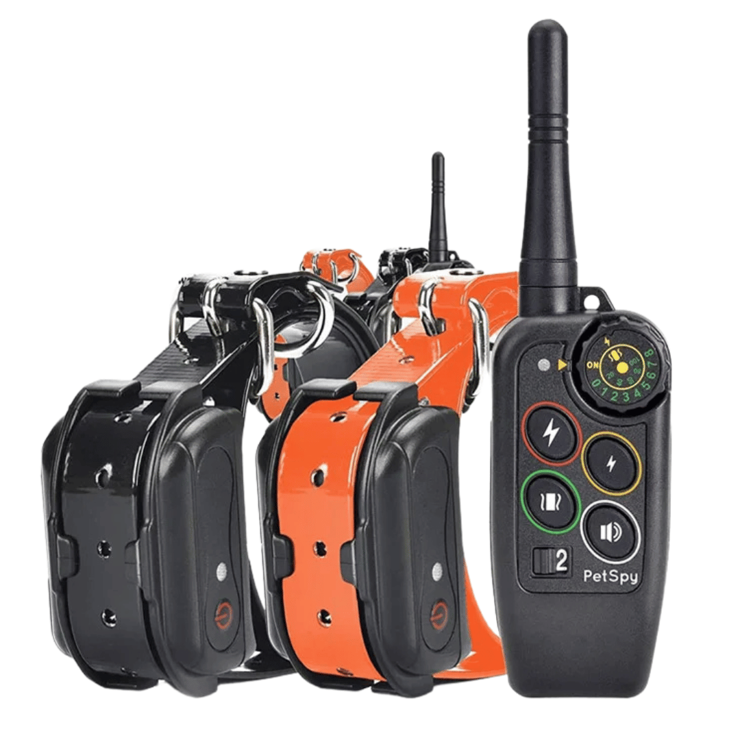 1000m Waterproof Dog Training Collar with Remote, Beep, Vibration and Stimulation Modes