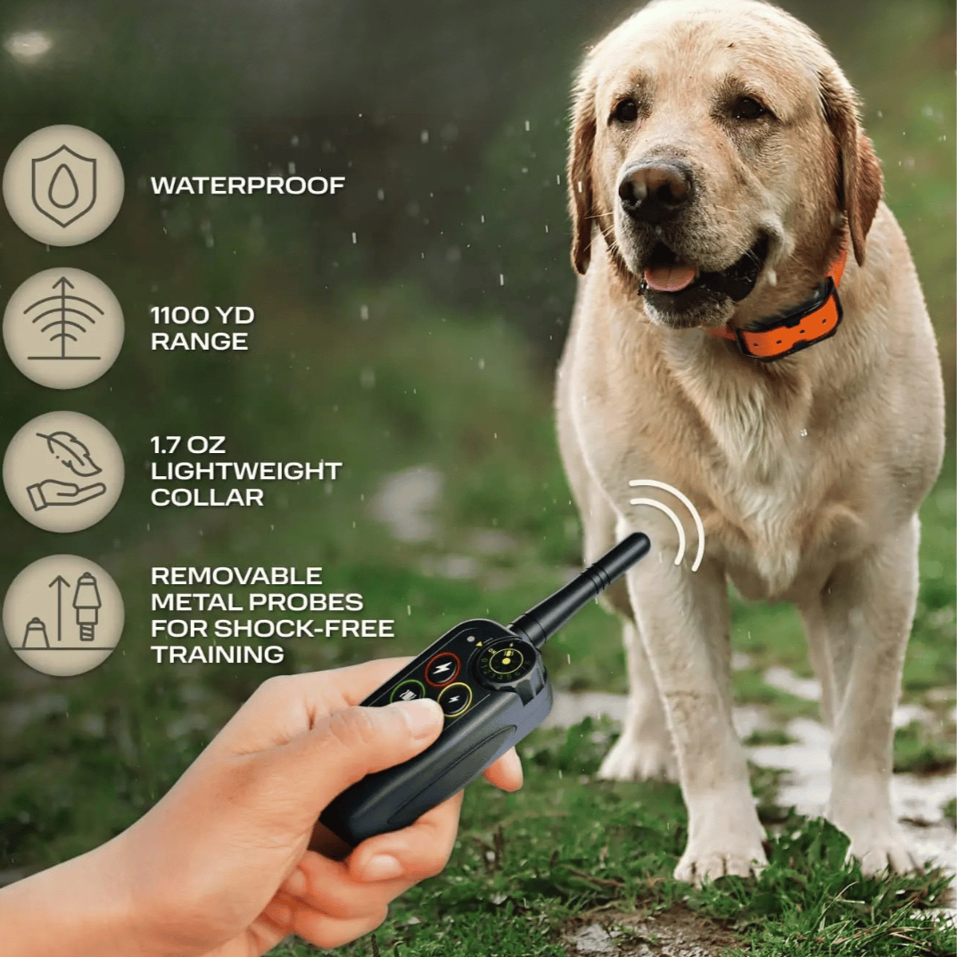 1000m Waterproof Dog Training Collar with Remote, Beep, Vibration and Stimulation Modes