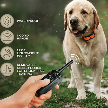 1000m Waterproof Dog Training Collar with Remote, Beep, Vibration and Stimulation Modes