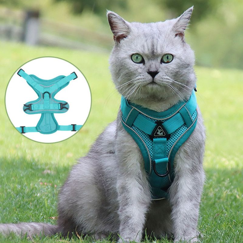 Anti-Escape Cat Harness with Reflective Details and Leash