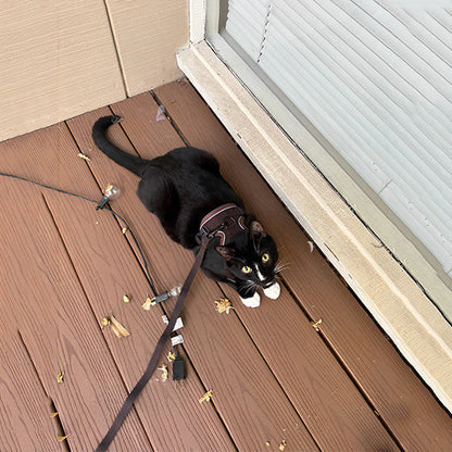 Anti-Escape Cat Harness with Reflective Details and Leash