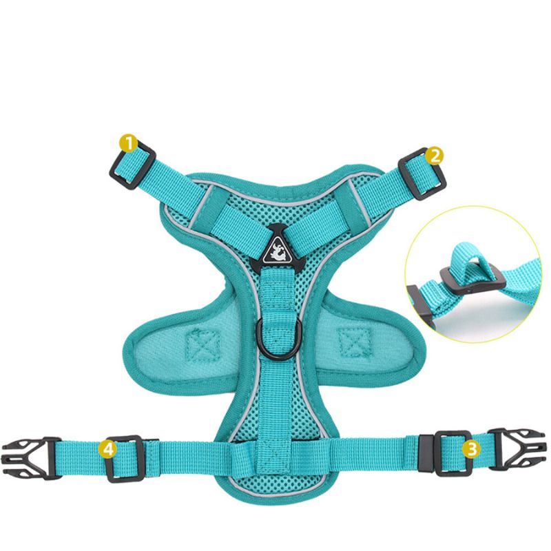 Anti-Escape Cat Harness with Reflective Details and Leash