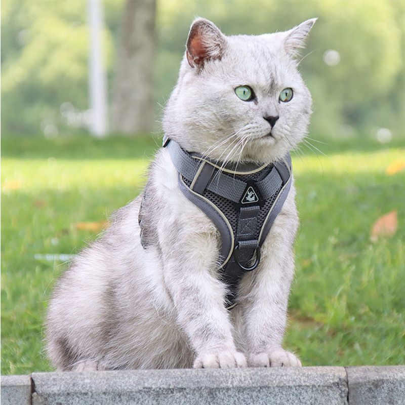Anti-Escape Cat Harness with Reflective Details and Leash