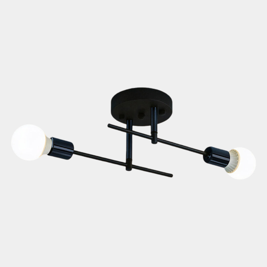 Black and Gold 2-Light Flush Mount Ceiling Lamp