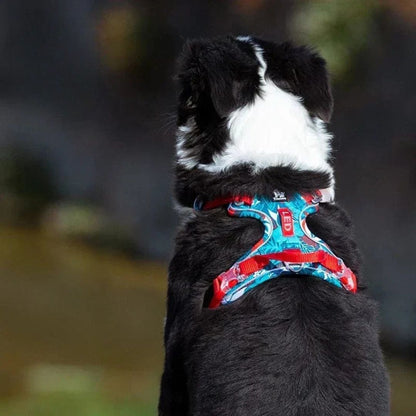 Arnés para perros con material transpirable y ajuste regulable y seguro XS-XL