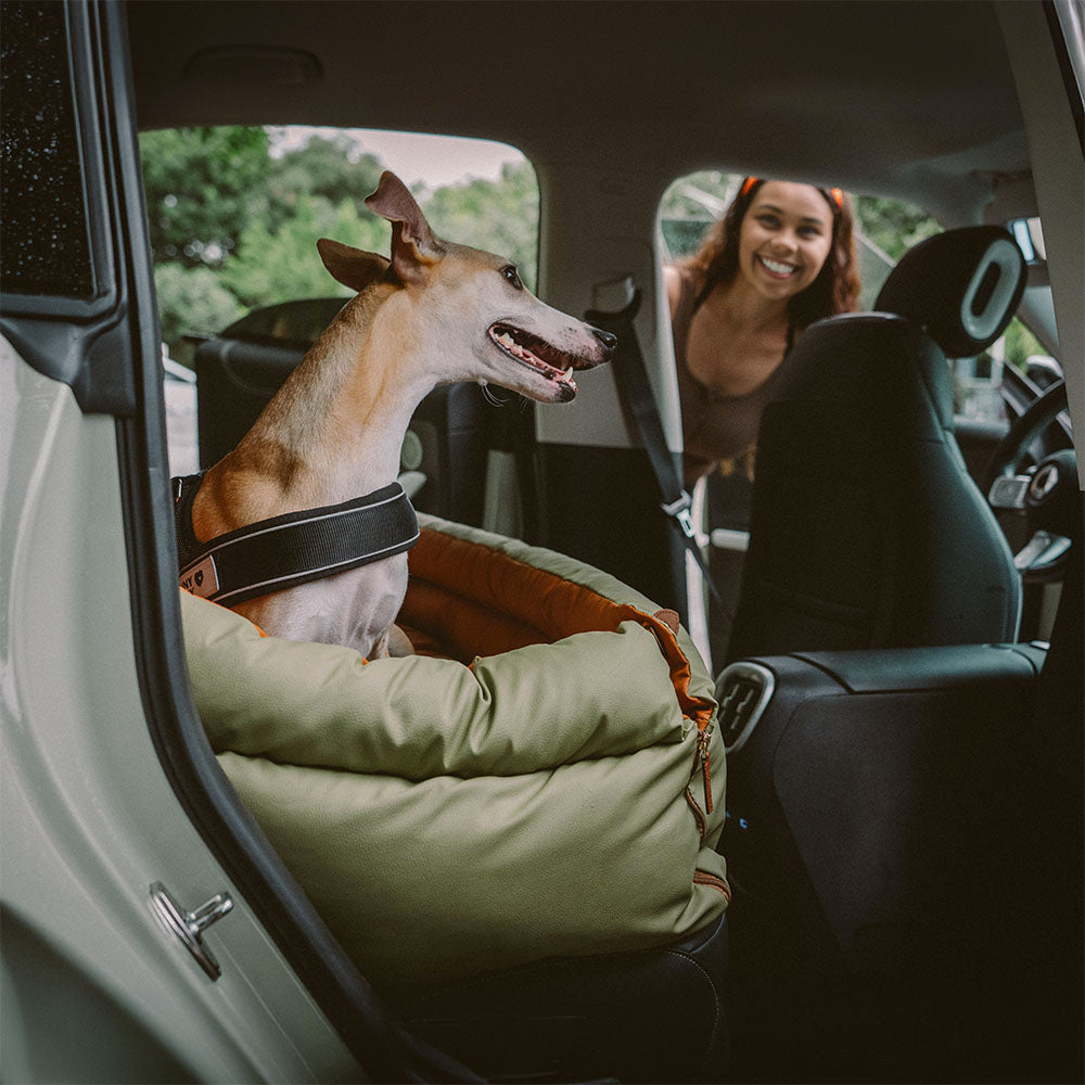 Faux Leather Dog Car Seat with Thick Padding and Expandable Space