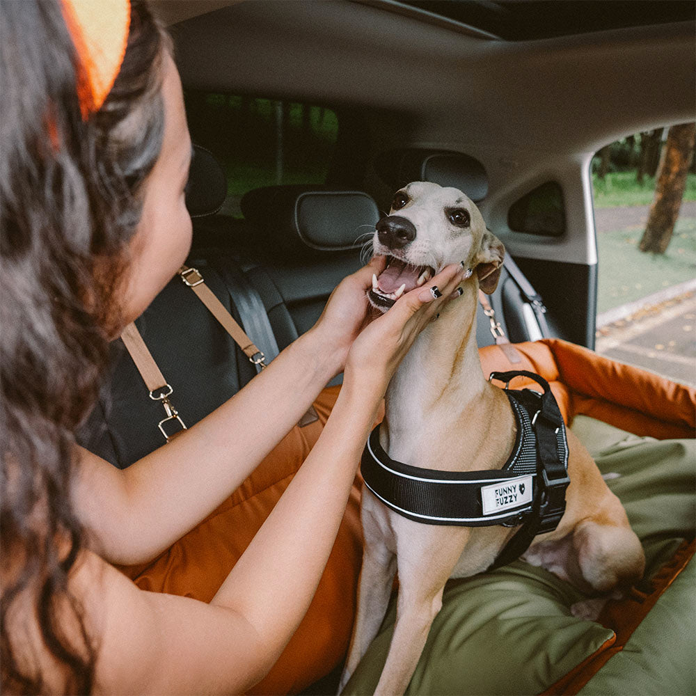 Faux Leather Dog Car Seat with Thick Padding and Expandable Space