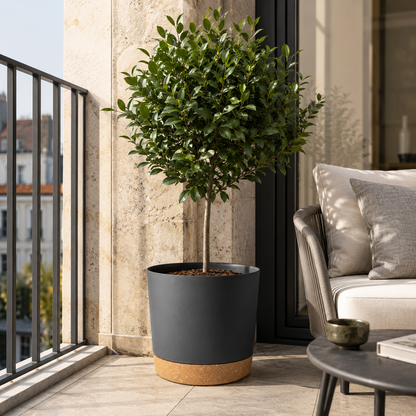 Large Lightweight Plant Pot with Drainage Holes for Indoor and Outdoor Use