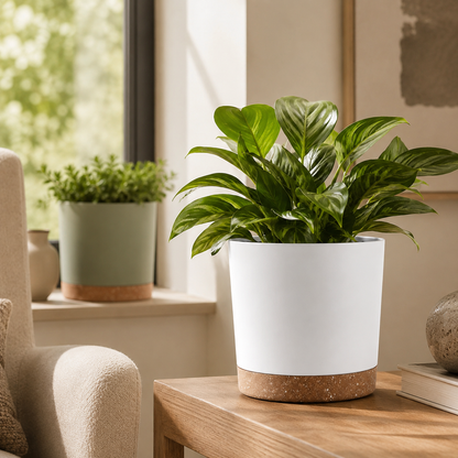 Large Lightweight Plant Pot with Drainage Holes for Indoor and Outdoor Use