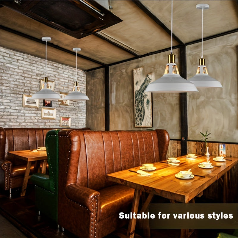 Matte Metal Industrial Pendant Light with Brass Accent