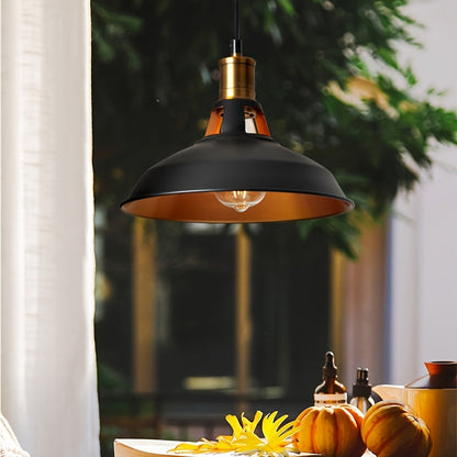 Matte Metal Industrial Pendant Light with Brass Accent