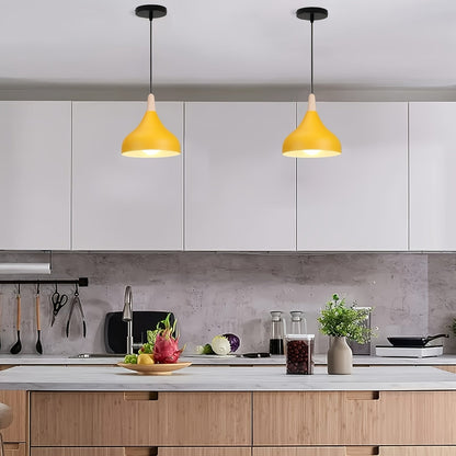 Modern Teardrop Metal and Wood Pendant Light