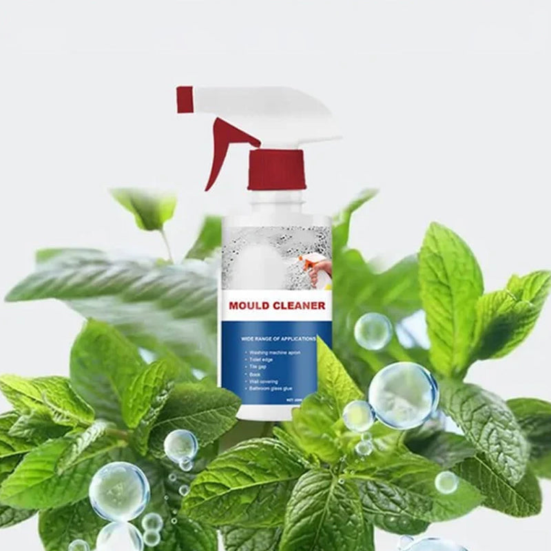 Mold Removal Foam Spray for Removing Mold Stains on Household Surfaces