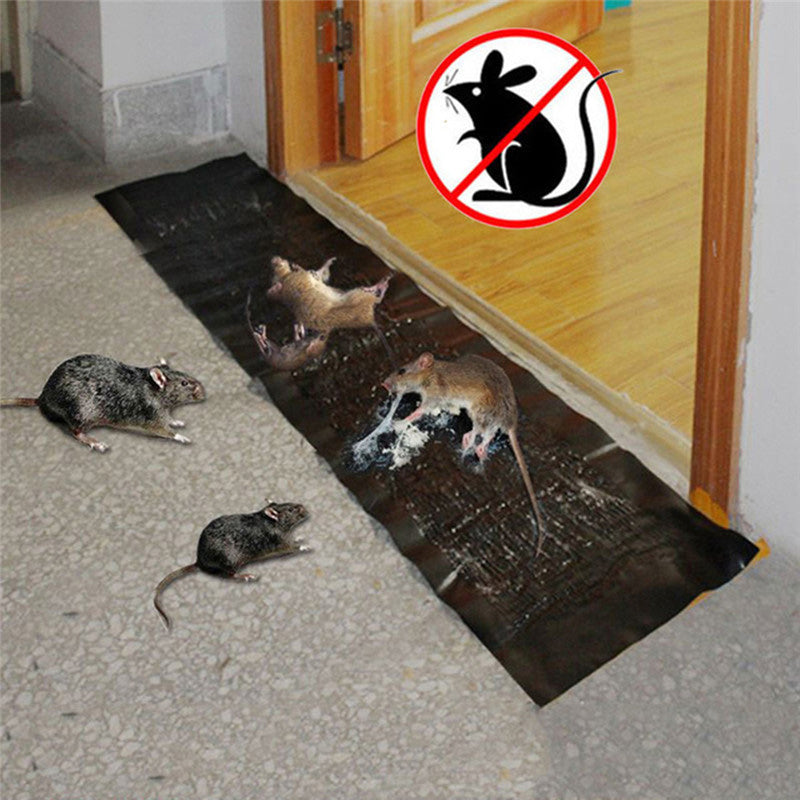 Mouse Trap with Strong Adhesive and Peanut Butter Scent