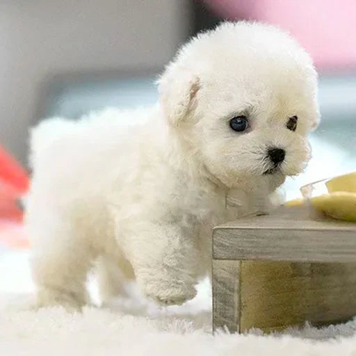 Realistic Plush Toy Puppy with Interactive Tail Wagging and Head Movement