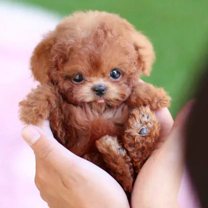 Realistic Plush Toy Puppy with Interactive Tail Wagging and Head Movement