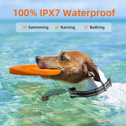 Rechargeable Waterproof Dog Training Collar with 1000m Remote