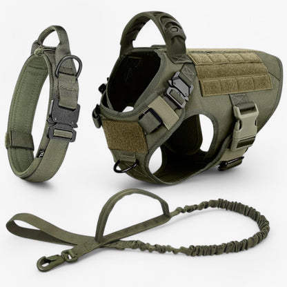 Reflective Nylon Dog Leash with Strong Handle for Training