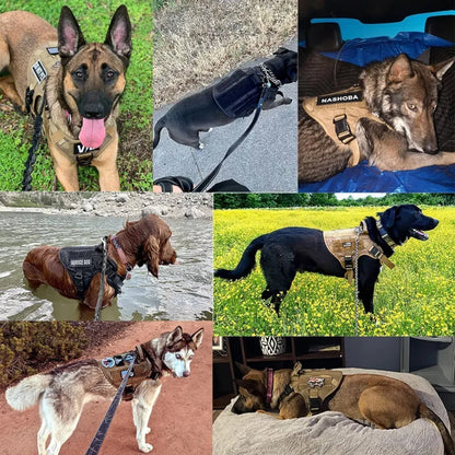Reflective Nylon Dog Leash with Strong Handle for Training