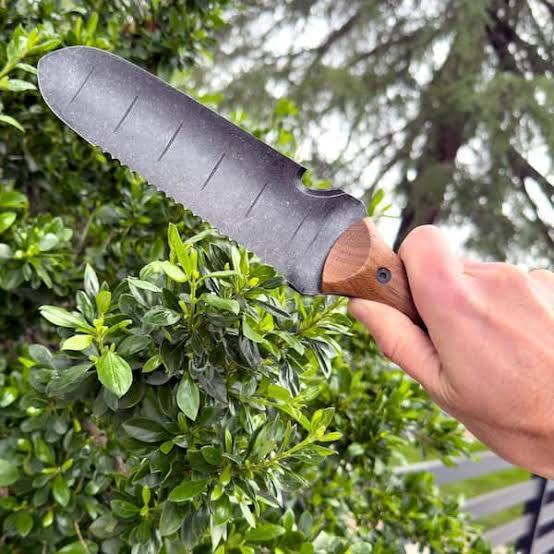 Stainless Steel Hori Hori Garden Tool with Walnut Handle