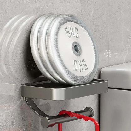 Stainless Steel Toilet Paper Holder with Storage Shelf