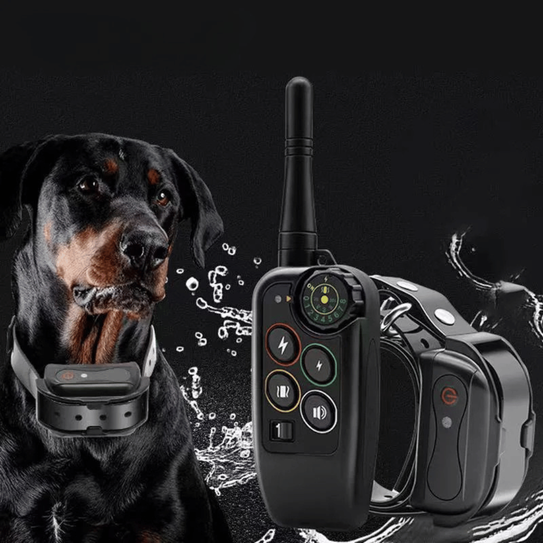 Waterproof 1000m Dog Training Collar with Remote Control