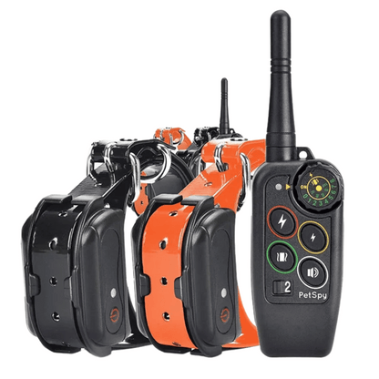 Waterproof 1000m Dog Training Collar with Remote Control